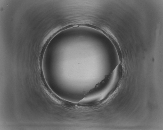 X0000066100789200603101140