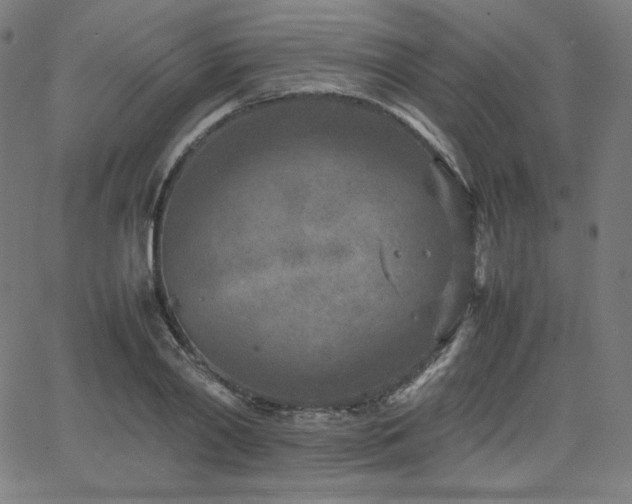 X0000066100790200603101140