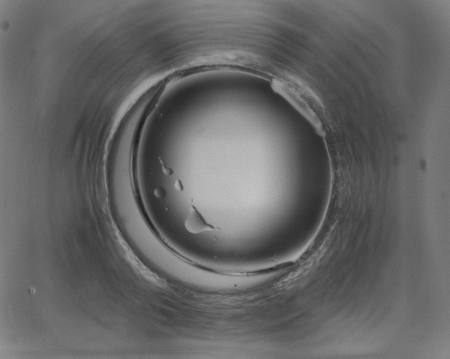 X0000066100792200603101140