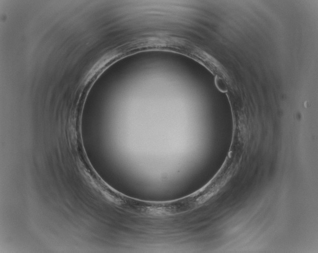 X0000066100794200603101140