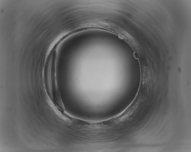 X0000066100796200603101140