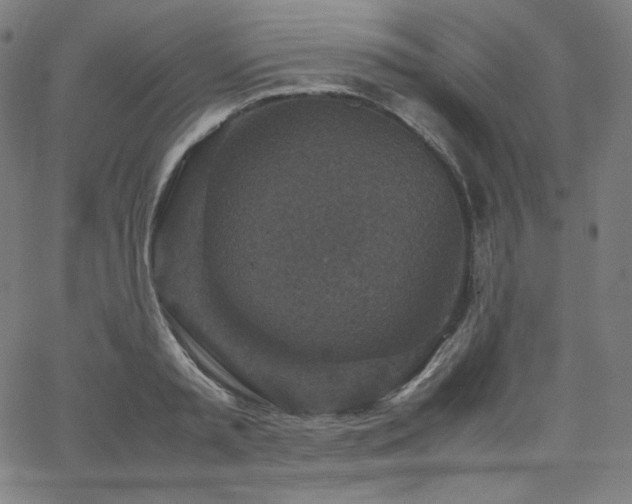 X0000066100797200603101140