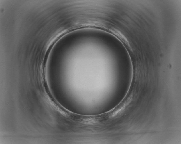 X0000066100798200603101140