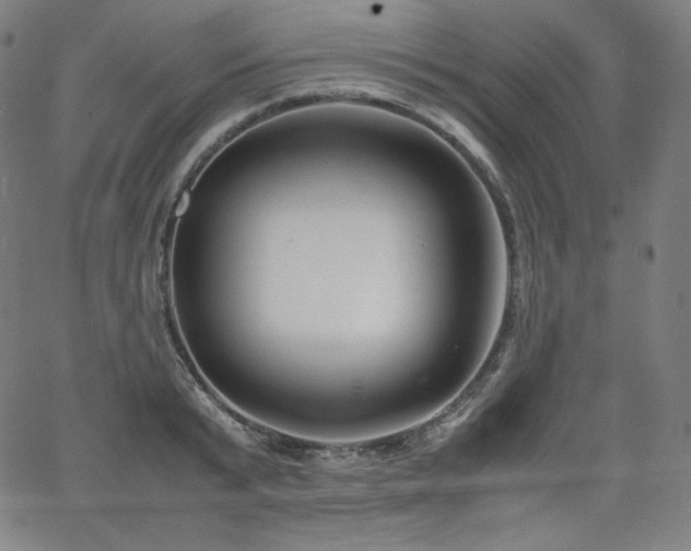 X0000066100799200603101140