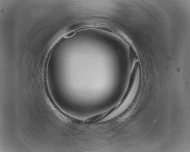 X0000066100803200603101140