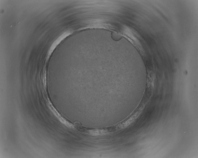 X0000066100804200603101140