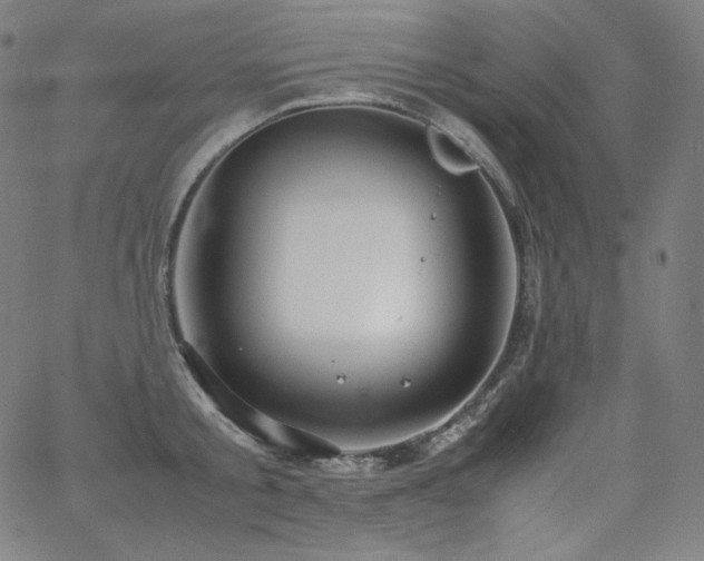 X0000066100805200603101140