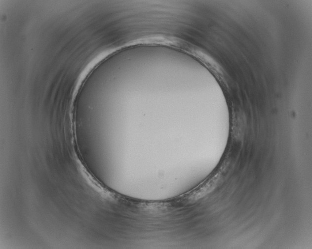 X0000066100808200603101139