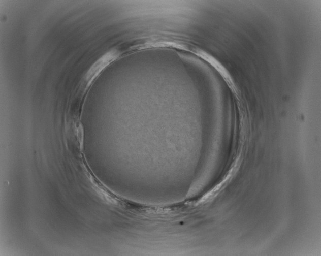 X0000066100809200603101139