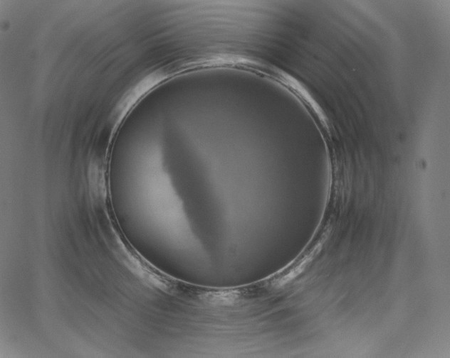 X0000066100810200603101139