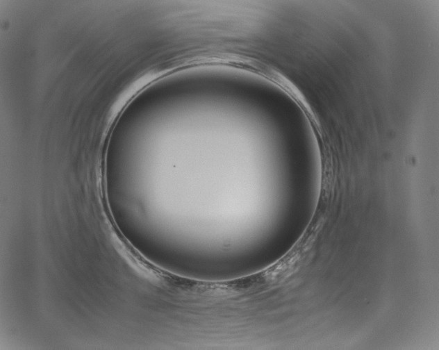 X0000066100811200603101139