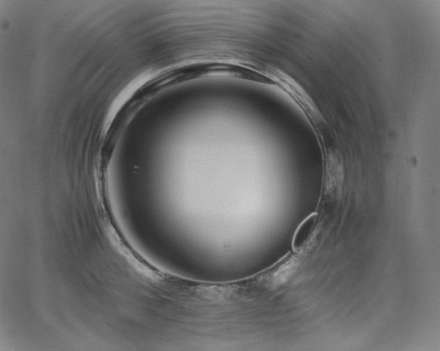 X0000066100812200603101139