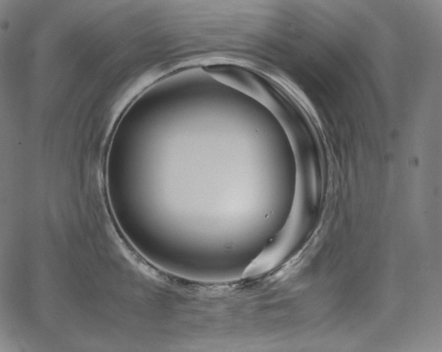 X0000066100813200603101139