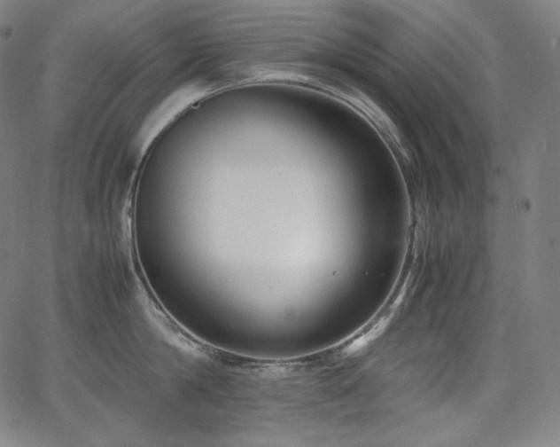 X0000066100814200603101139