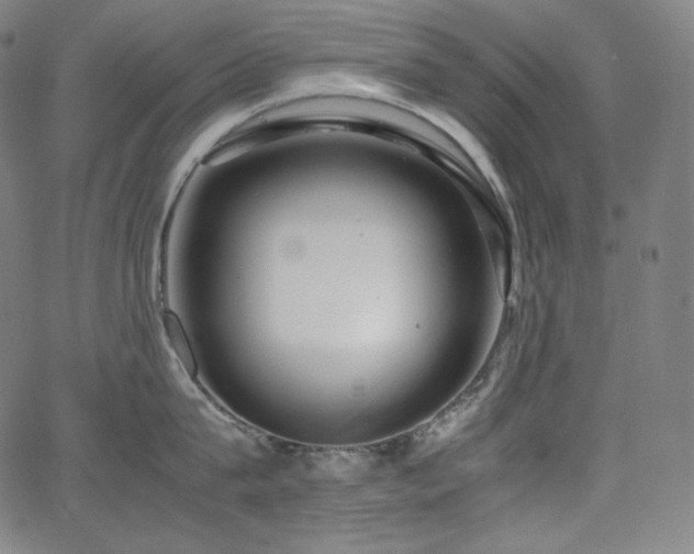 X0000066100815200603101139