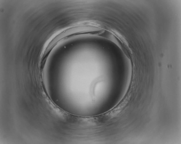 X0000066100816200603101139