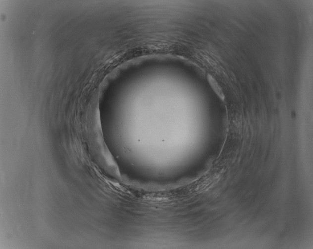 X0000066100817200603101139