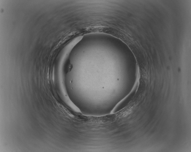 X0000066100818200603101139