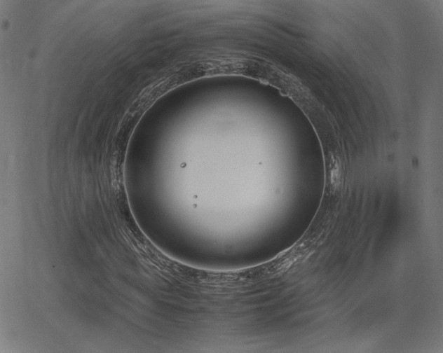 X0000066100819200603101139