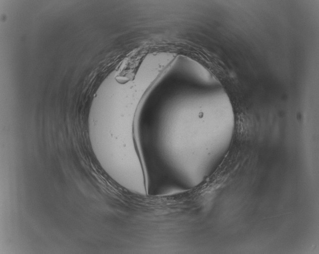 X0000066100820200603101139