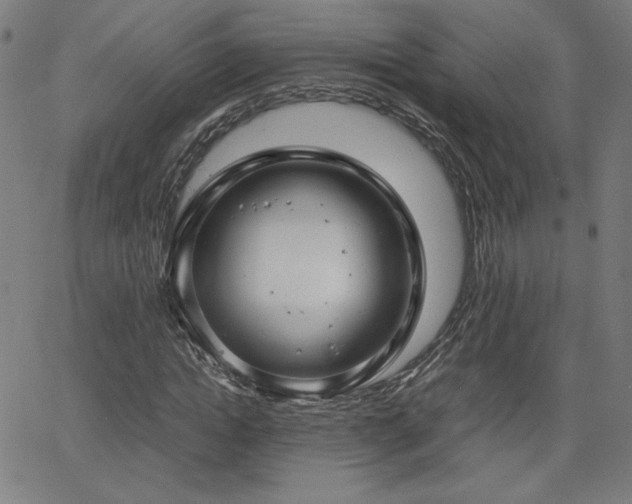 X0000066100822200603101139