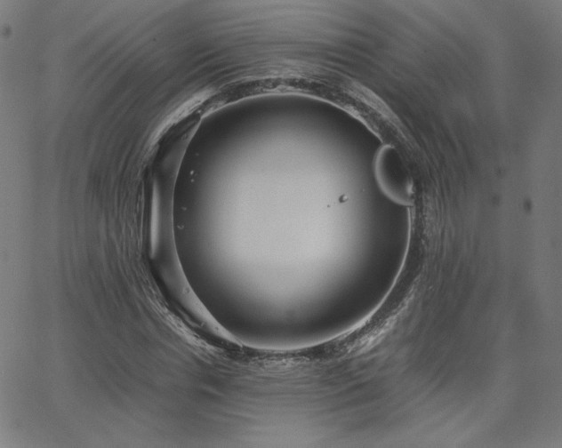 X0000066100826200603101139