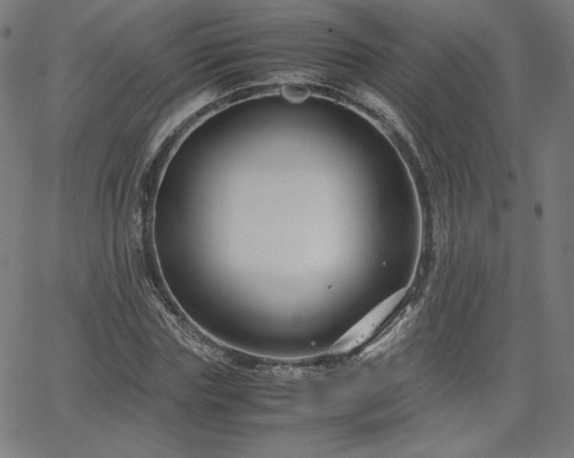 X0000066100827200603101139