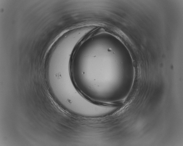 X0000066100828200603101139