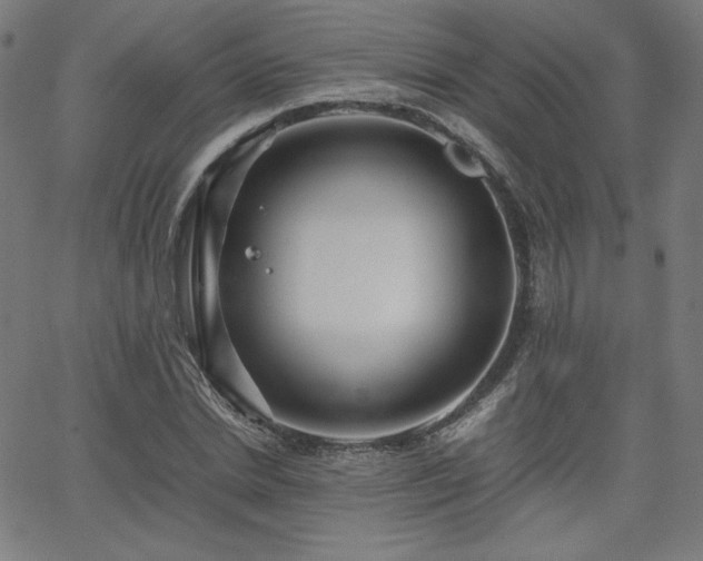 X0000066100830200603101139