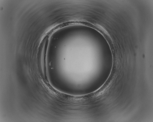 X0000066100831200603101139