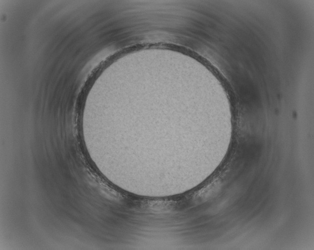 X0000066100832200603101139