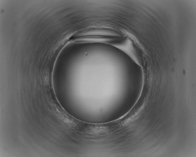 X0000066100833200603101139