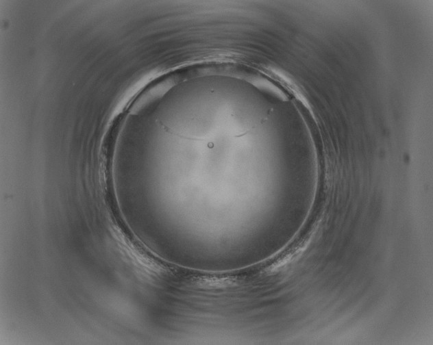 X0000066100835200603101139