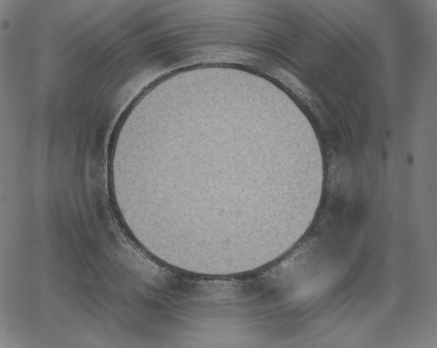 X0000066100836200603101139