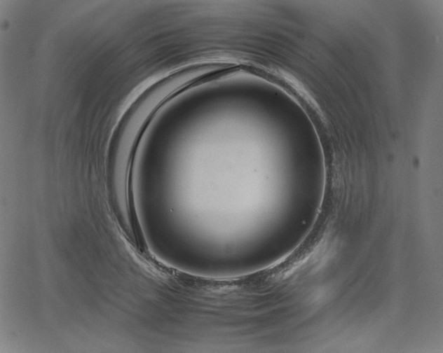 X0000066100837200603101139