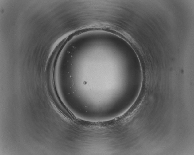 X0000066100838200603101139