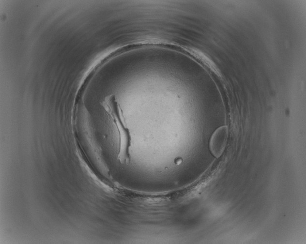 X0000066100839200603101139