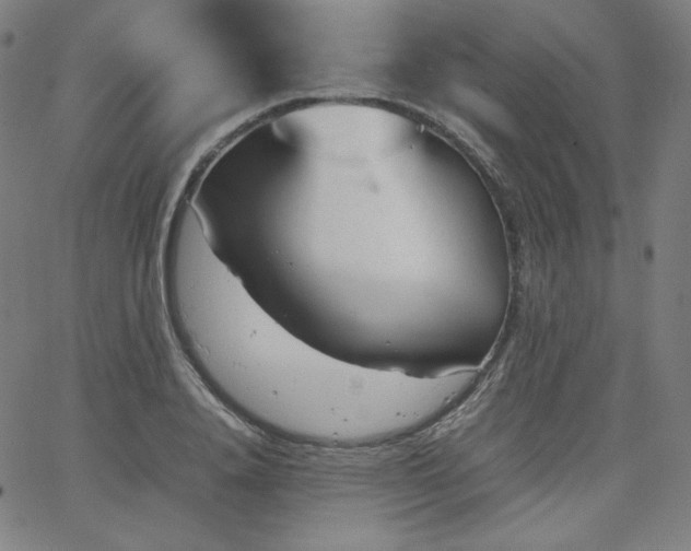 X0000066100840200603101139