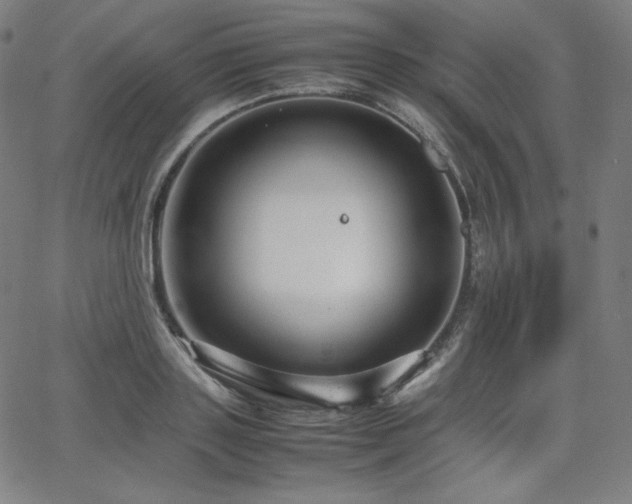 X0000066100843200603101139