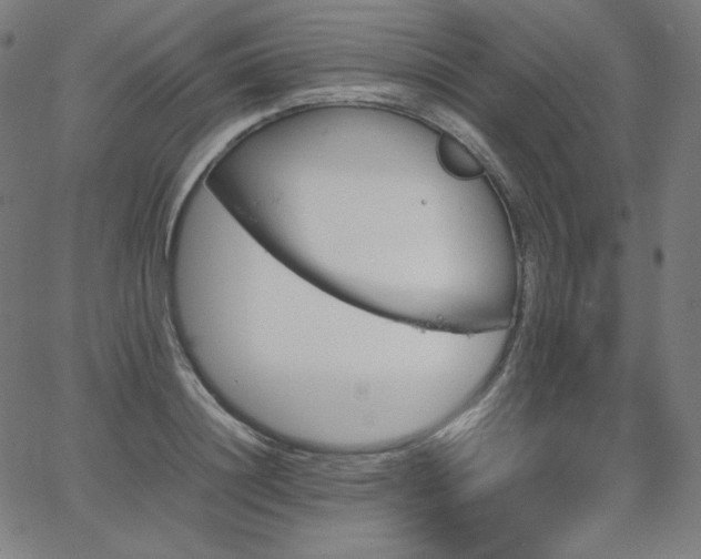 X0000066100844200603101139