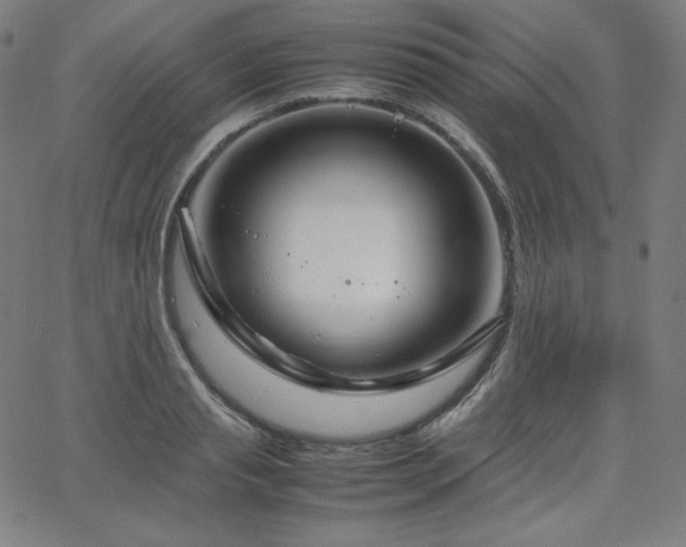 X0000066100845200603101139