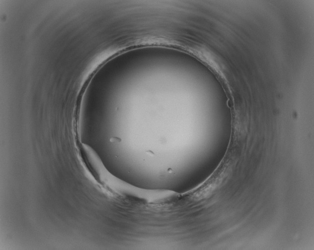 X0000066100847200603101139