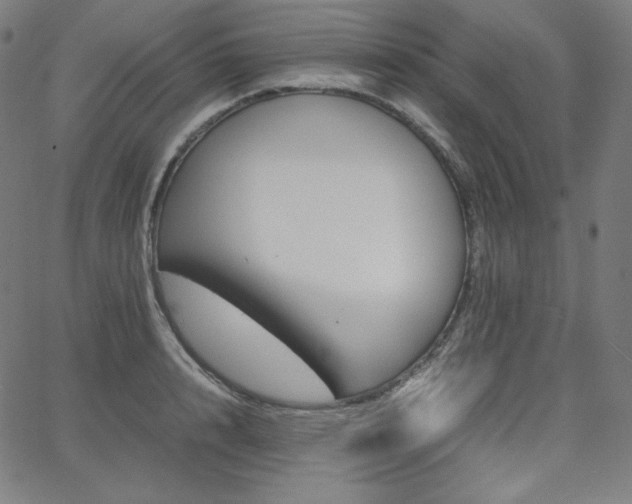 X0000066100848200603101139