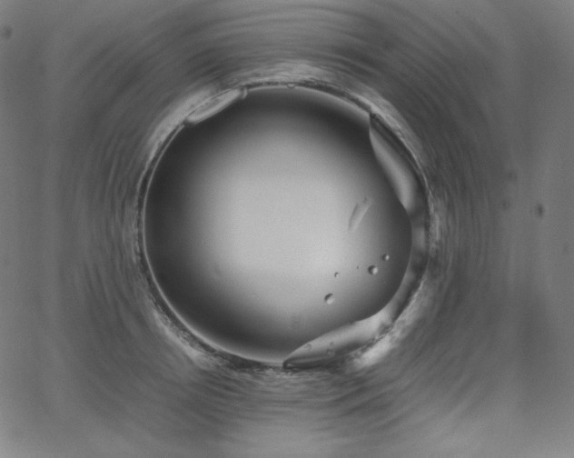 X0000066100850200603101139