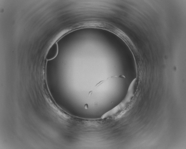 X0000066100852200603101139