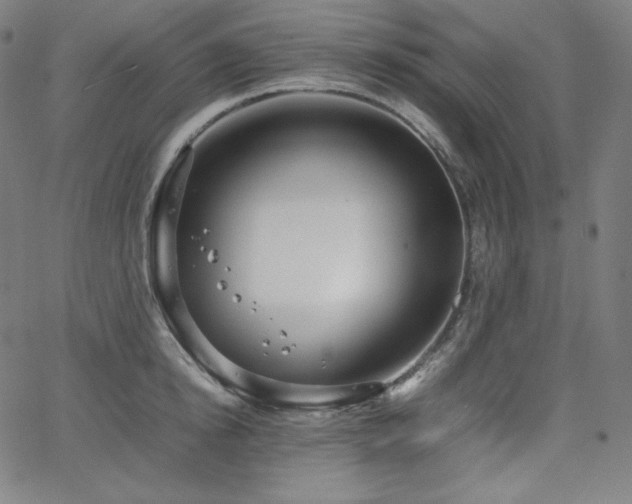 X0000066100854200603101139