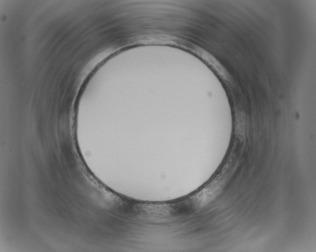 X0000066100856200603101139