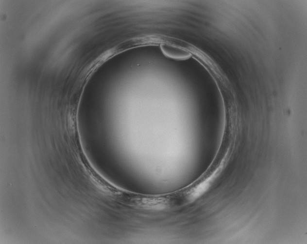 X0000066100857200603101139