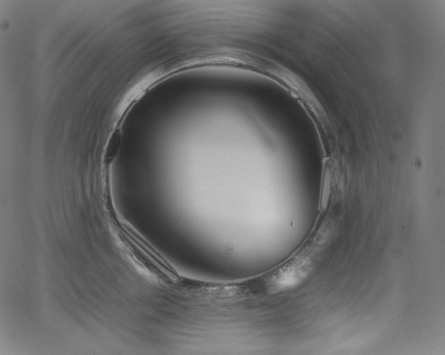 X0000066100858200603101139