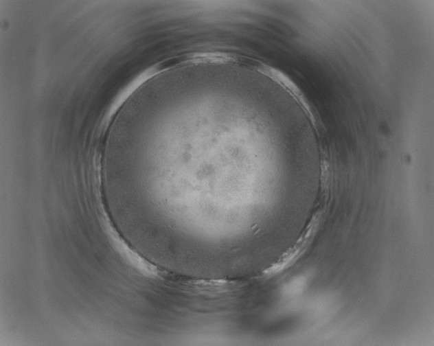 X0000066100859200603101139